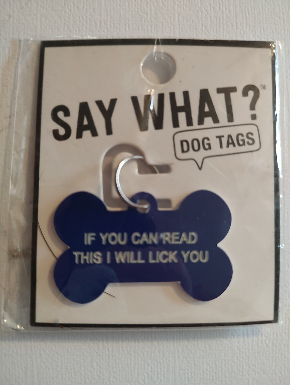 Say What? Blue Bone-Shaped Dog Tag with Playful Message
